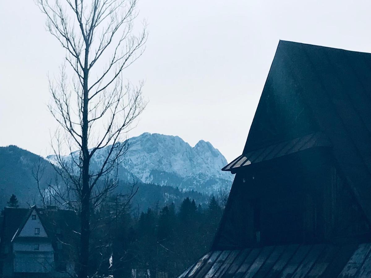 Willa Pod Gorami Zakopane Exterior foto